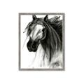 Picture of Sketched Horse _GroupedProduct_Rectangle_Portrait_Framed_Matted_