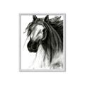 Picture of Sketched Horse _GroupedProduct_Rectangle_Portrait_Framed_Matted_