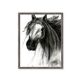Picture of Sketched Horse _GroupedProduct_Rectangle_Portrait_Framed_Matted_
