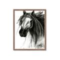 Picture of Sketched Horse _GroupedProduct_Rectangle_Portrait_Framed_Matted_
