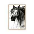 Picture of Sketched Horse _GroupedProduct_Rectangle_Portrait_Framed_Matted_
