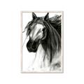 Picture of Sketched Horse _GroupedProduct_Rectangle_Portrait_Framed_Matted_