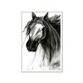 Picture of Sketched Horse _GroupedProduct_Rectangle_Portrait_Framed_Matted_
