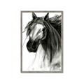 Picture of Sketched Horse _GroupedProduct_Rectangle_Portrait_Framed_Matted_