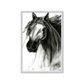 Picture of Sketched Horse _GroupedProduct_Rectangle_Portrait_Framed_Matted_