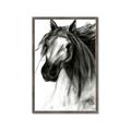 Picture of Sketched Horse _GroupedProduct_Rectangle_Portrait_Framed_Matted_