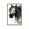 Picture of Sketched Horse _GroupedProduct_Rectangle_Portrait_Framed_Matted_