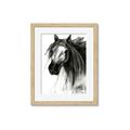 Picture of Sketched Horse _GroupedProduct_Rectangle_Portrait_Framed_Matted_