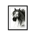 Picture of Sketched Horse _GroupedProduct_Rectangle_Portrait_Framed_Matted_