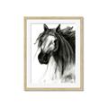 Picture of Sketched Horse _GroupedProduct_Rectangle_Portrait_Framed_Matted_