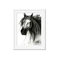 Picture of Sketched Horse _GroupedProduct_Rectangle_Portrait_Framed_Matted_