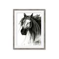 Picture of Sketched Horse _GroupedProduct_Rectangle_Portrait_Framed_Matted_