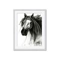 Picture of Sketched Horse _GroupedProduct_Rectangle_Portrait_Framed_Matted_