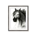Picture of Sketched Horse _GroupedProduct_Rectangle_Portrait_Framed_Matted_