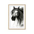 Picture of Sketched Horse _GroupedProduct_Rectangle_Portrait_Framed_Matted_