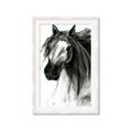 Picture of Sketched Horse _GroupedProduct_Rectangle_Portrait_Framed_Matted_