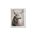 Picture of Harry the Highland _GroupedProduct_Rectangle_Portrait_Framed_Matted_