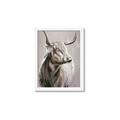 Picture of Harry the Highland _GroupedProduct_Rectangle_Portrait_Framed_Matted_