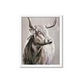 Picture of Harry the Highland _GroupedProduct_Rectangle_Portrait_Framed_Matted_