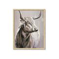 Picture of Harry the Highland _GroupedProduct_Rectangle_Portrait_Framed_Matted_