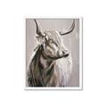 Picture of Harry the Highland _GroupedProduct_Rectangle_Portrait_Framed_Matted_