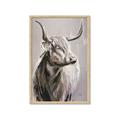 Picture of Harry the Highland _GroupedProduct_Rectangle_Portrait_Framed_Matted_