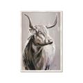 Picture of Harry the Highland _GroupedProduct_Rectangle_Portrait_Framed_Matted_