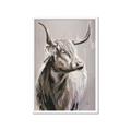 Picture of Harry the Highland _GroupedProduct_Rectangle_Portrait_Framed_Matted_