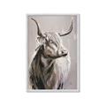 Picture of Harry the Highland _GroupedProduct_Rectangle_Portrait_Framed_Matted_