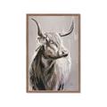 Picture of Harry the Highland _GroupedProduct_Rectangle_Portrait_Framed_Matted_