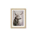 Picture of Harry the Highland _GroupedProduct_Rectangle_Portrait_Framed_Matted_