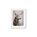 Picture of Harry the Highland _GroupedProduct_Rectangle_Portrait_Framed_Matted_