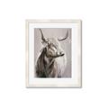 Picture of Harry the Highland _GroupedProduct_Rectangle_Portrait_Framed_Matted_