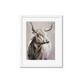 Picture of Harry the Highland _GroupedProduct_Rectangle_Portrait_Framed_Matted_