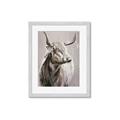 Picture of Harry the Highland _GroupedProduct_Rectangle_Portrait_Framed_Matted_