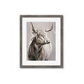 Picture of Harry the Highland _GroupedProduct_Rectangle_Portrait_Framed_Matted_