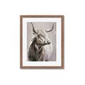 Picture of Harry the Highland _GroupedProduct_Rectangle_Portrait_Framed_Matted_