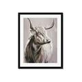 Picture of Harry the Highland _GroupedProduct_Rectangle_Portrait_Framed_Matted_