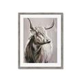 Picture of Harry the Highland _GroupedProduct_Rectangle_Portrait_Framed_Matted_