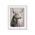 Picture of Harry the Highland _GroupedProduct_Rectangle_Portrait_Framed_Matted_