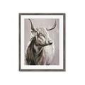 Picture of Harry the Highland _GroupedProduct_Rectangle_Portrait_Framed_Matted_