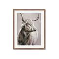 Picture of Harry the Highland _GroupedProduct_Rectangle_Portrait_Framed_Matted_