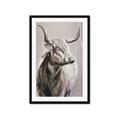 Picture of Harry the Highland _GroupedProduct_Rectangle_Portrait_Framed_Matted_