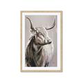 Picture of Harry the Highland _GroupedProduct_Rectangle_Portrait_Framed_Matted_