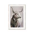 Picture of Harry the Highland _GroupedProduct_Rectangle_Portrait_Framed_Matted_