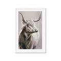 Picture of Harry the Highland _GroupedProduct_Rectangle_Portrait_Framed_Matted_