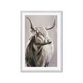 Picture of Harry the Highland _GroupedProduct_Rectangle_Portrait_Framed_Matted_