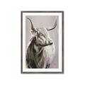 Picture of Harry the Highland _GroupedProduct_Rectangle_Portrait_Framed_Matted_