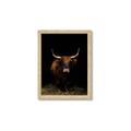 Picture of Dixie, the Bull II _GroupedProduct_Rectangle_Portrait_Photography _GroupedProduct_Rectangle_Portrait_Framed_Matted_