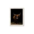 Picture of Dixie, the Bull II _GroupedProduct_Rectangle_Portrait_Photography _GroupedProduct_Rectangle_Portrait_Framed_Matted_